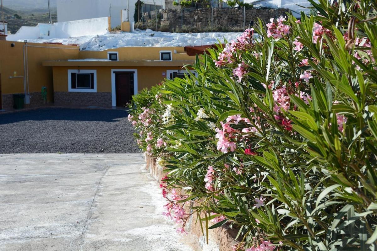 Casa Cueva Los Mansos 산타크루스데 테네리페 외부 사진